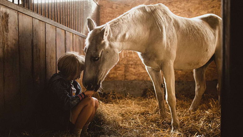 кадр из фильма Dzień, w którym znalazłem w śmieciach dziewczynę