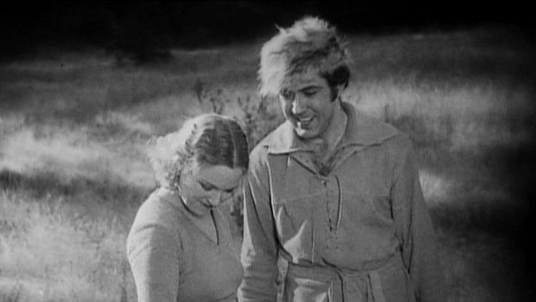 кадр из фильма The Great Meadow