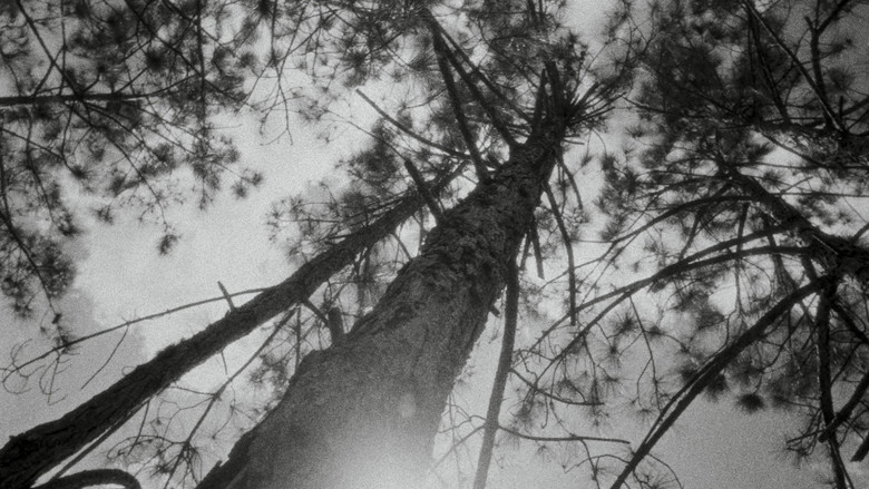 кадр из фильма Dissonance