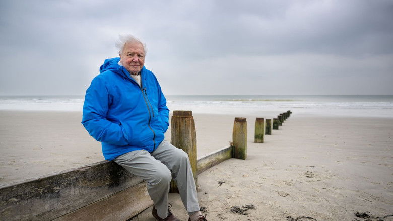 кадр из фильма A Deeper Dive with David Attenborough