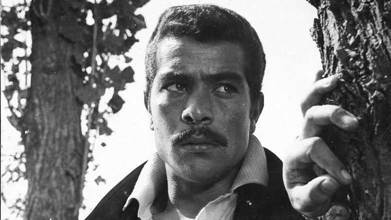 кадр из фильма عروس دریا