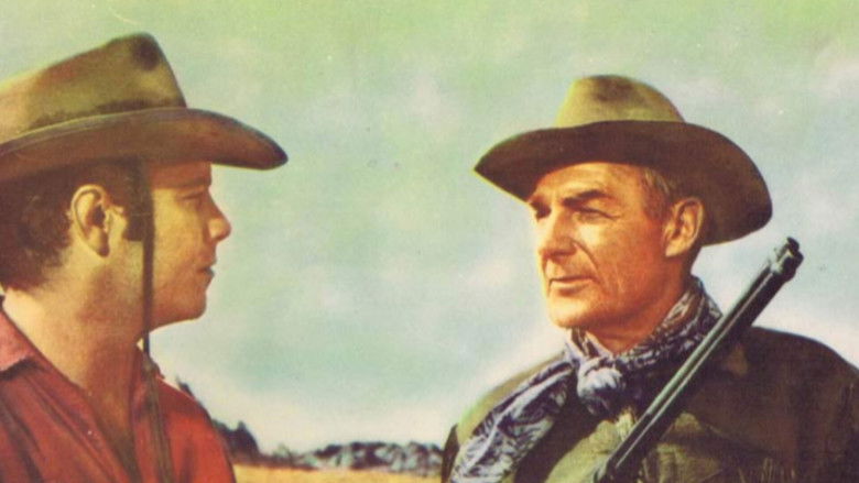 кадр из фильма Одинокий всадник