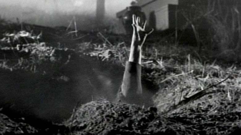 кадр из фильма Misterios de ultratumba