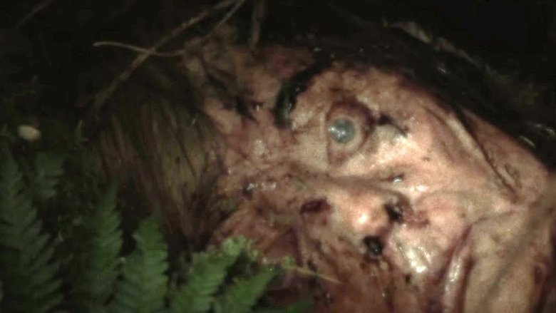 кадр из фильма Холодная земля