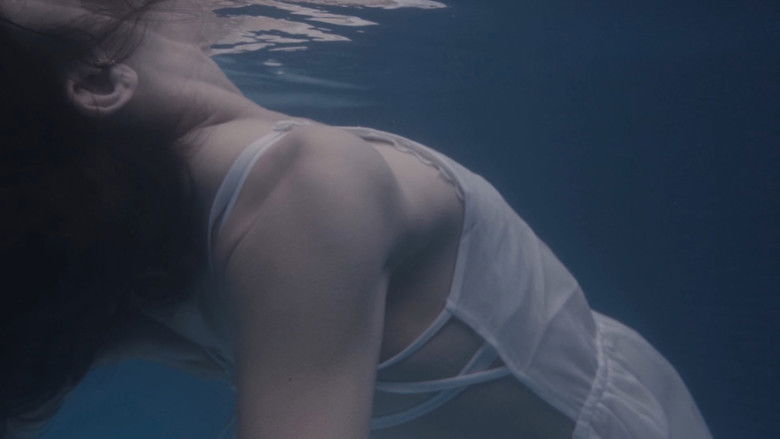 кадр из фильма Metamorfe