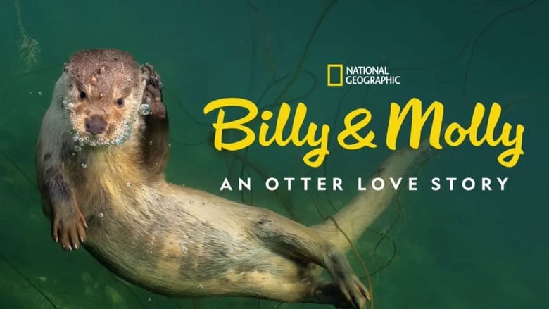 кадр из фильма Billy & Molly: An Otter Love Story