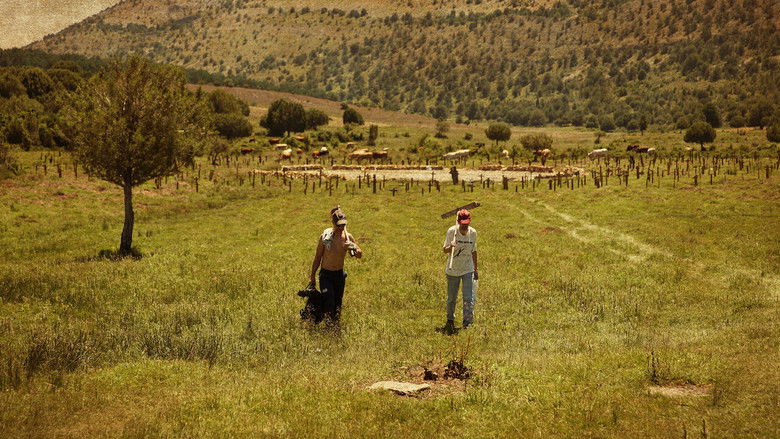 кадр из фильма Sad Hill Unearthed