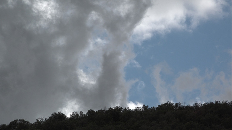 кадр из фильма El Secret del Bosc