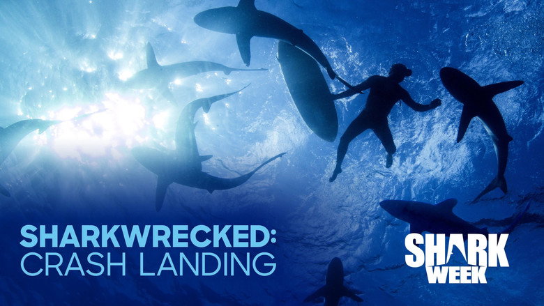 кадр из фильма Sharkwrecked: Crash Landing