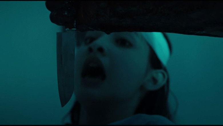 кадр из фильма The Follower