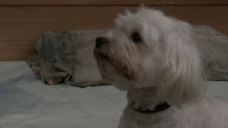 кадр из фильма Γυμνά Σώματα