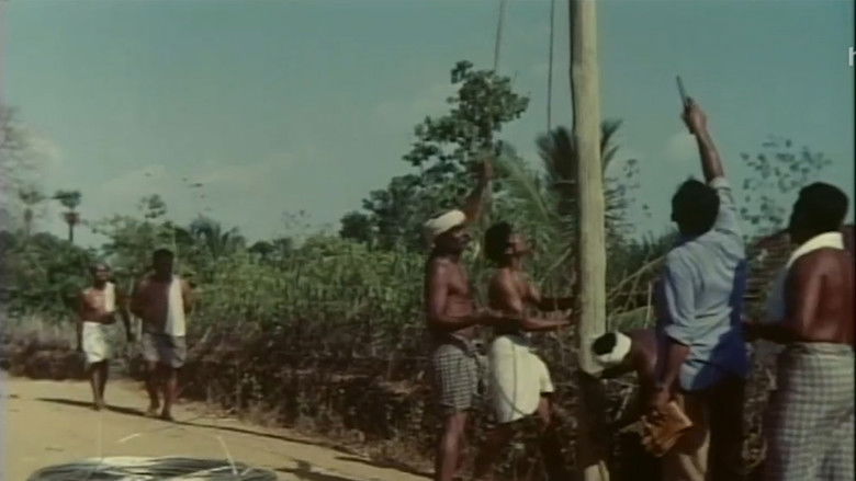 кадр из фильма ഒരിടത്ത്