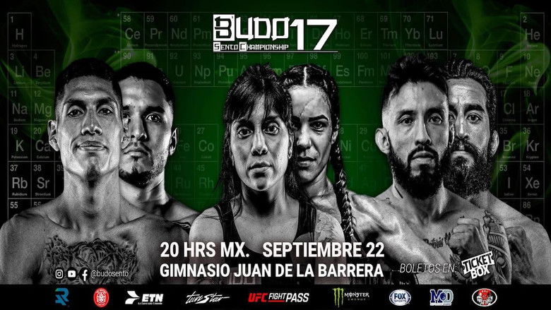 кадр из фильма Budo Sento Championship 17