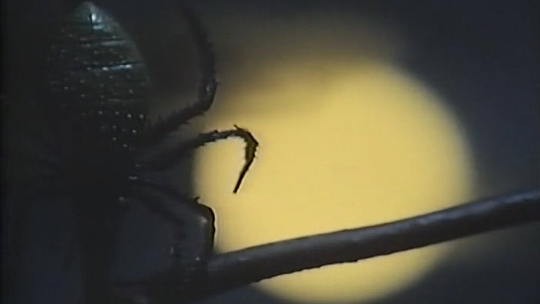 кадр из фильма ザ・凌辱