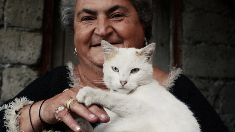 кадр из фильма Death & Cats