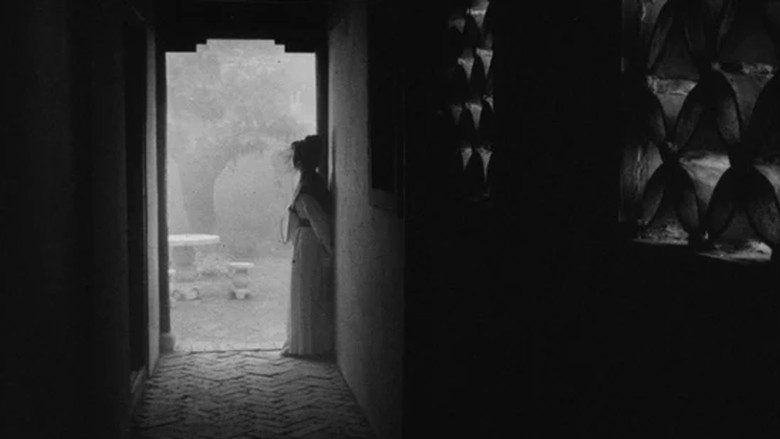 кадр из фильма 董夫人