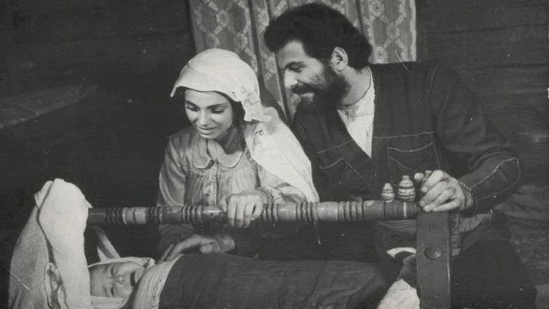 кадр из фильма Пять тысяч за голову Мевлуда