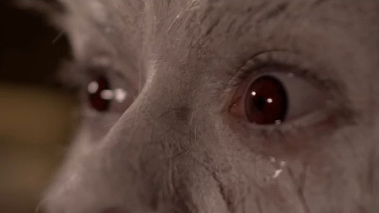 кадр из фильма Nona