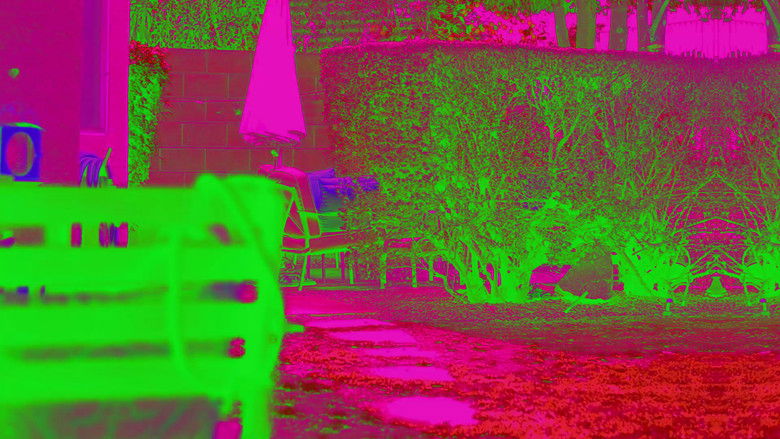 кадр из фильма This Must Be My Face