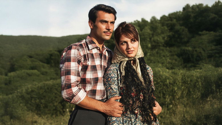 кадр из фильма Kaderin Önüne Geçilmez