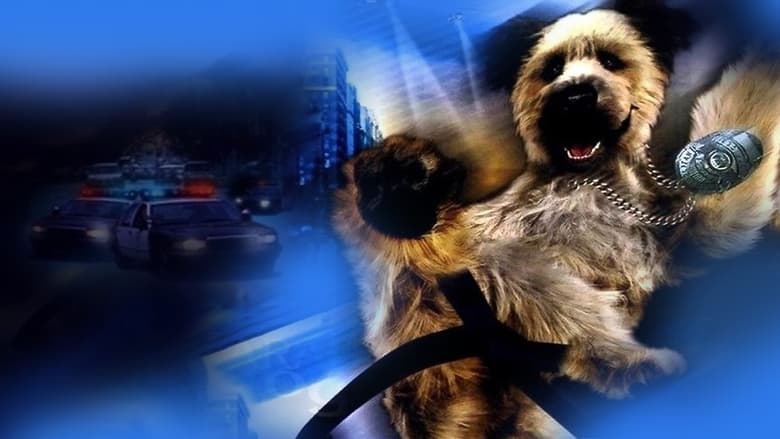 Пес – каратист