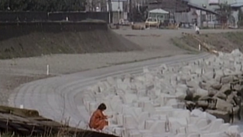 кадр из фильма ビニール本の女　密写全裸