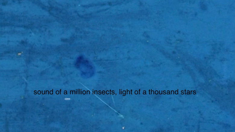 кадр из фильма Sound of a Million Insects, Light of a Thousand Stars