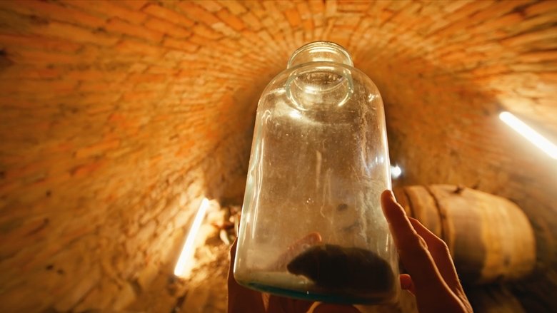 кадр из фильма Solvent