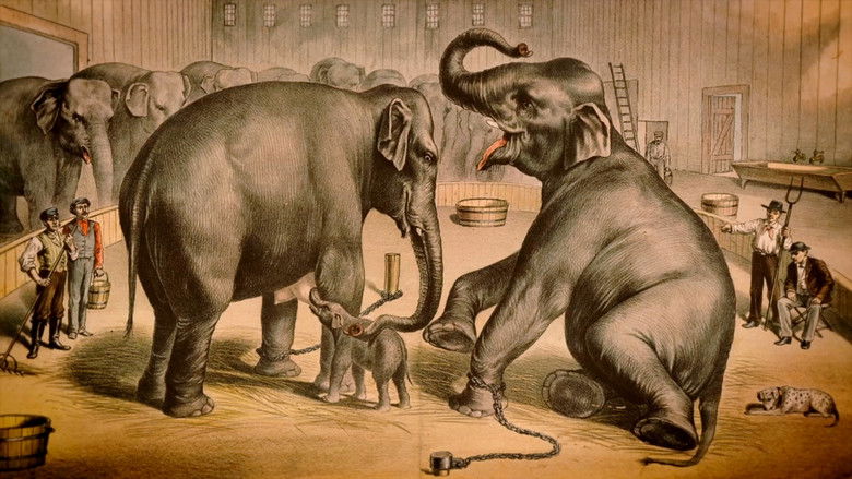 кадр из фильма La Tragique Histoire de Fritz l'éléphant