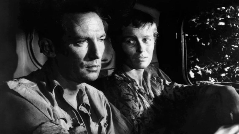 Город, похожий на Элис