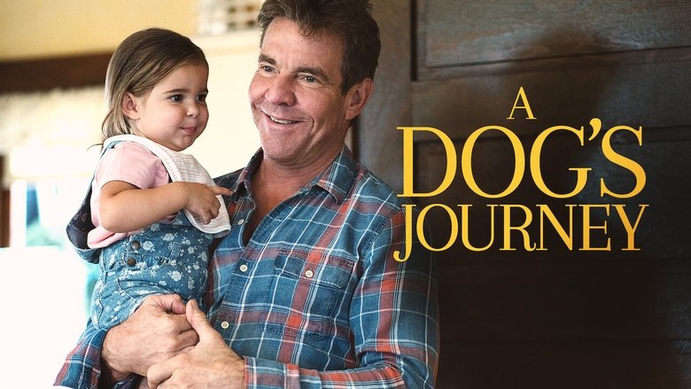 кадр из фильма Собачья жизнь 2