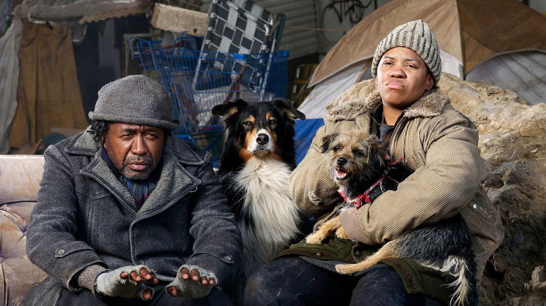 кадр из фильма Accidental Friendship