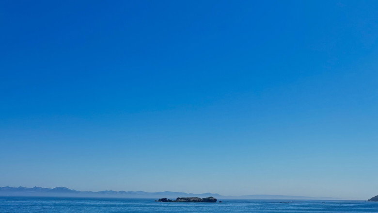 кадр из фильма Tabardillos Jazz Punk