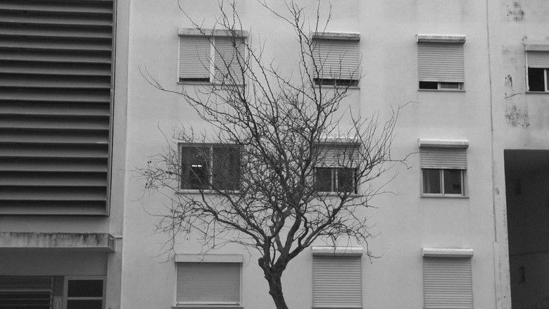 кадр из фильма Vulneráveis