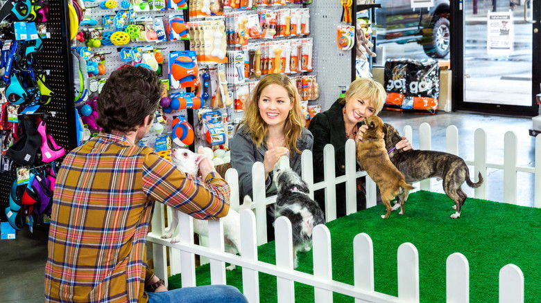 кадр из фильма Собаки моих бывших