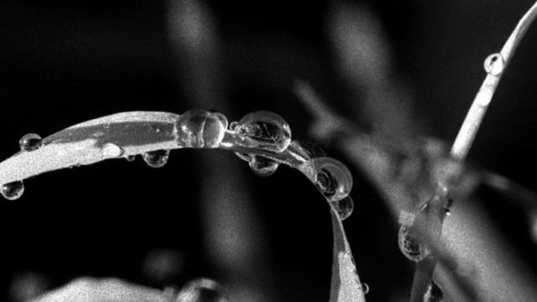 кадр из фильма Hypnosis Display