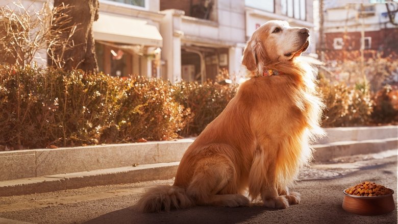 кадр из фильма Хвостатый переполох