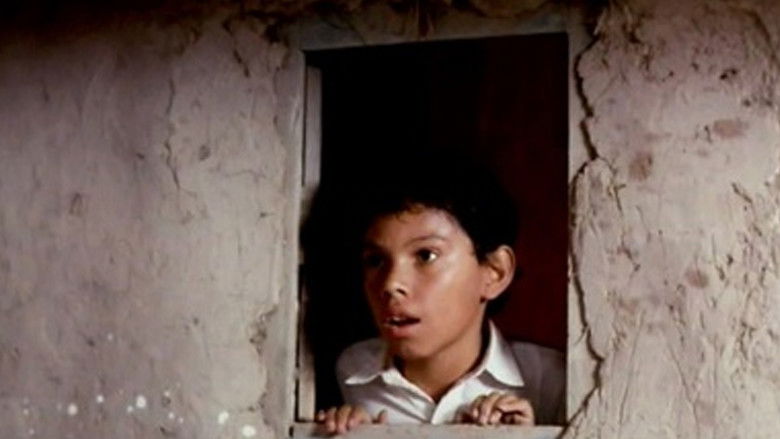 кадр из фильма El señor de los pájaros