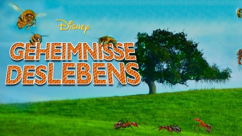 кадр из фильма Secrets of Life