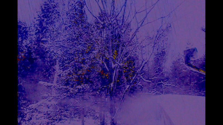 кадр из фильма Cottage Movie