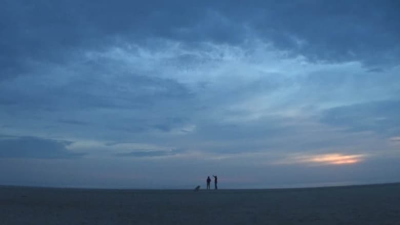 кадр из фильма Casa na Praia