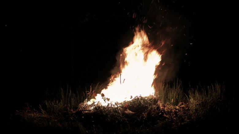 кадр из фильма José Combustão dos Porcos