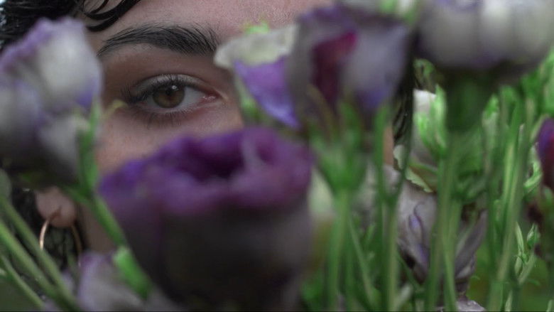 кадр из фильма La France en Vrai - Sugar