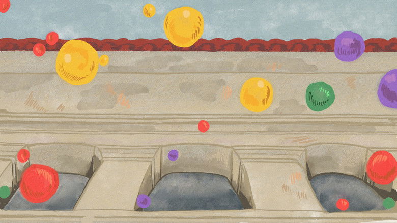 кадр из фильма La Hermandad de los Dientes