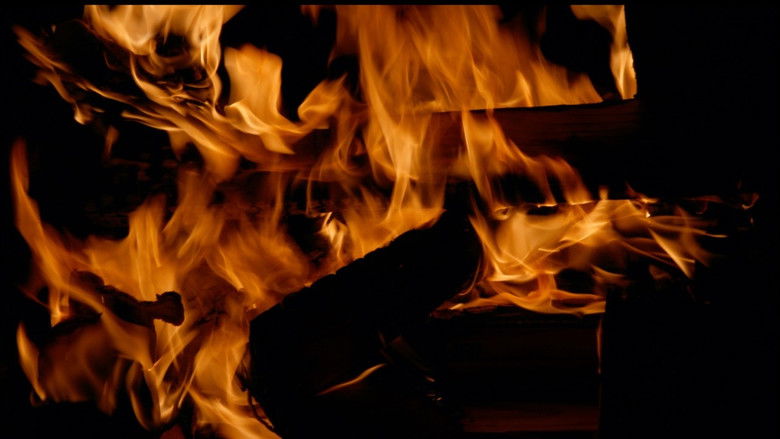 кадр из фильма Fire Cat