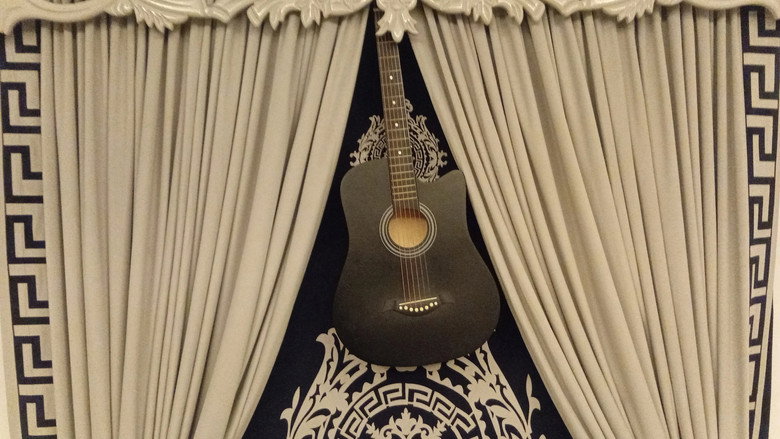 The Guitar Man