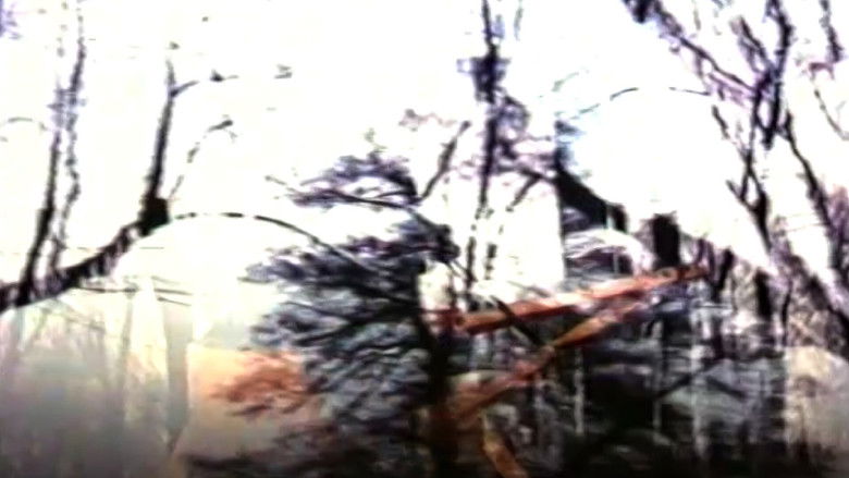 кадр из фильма Mirador