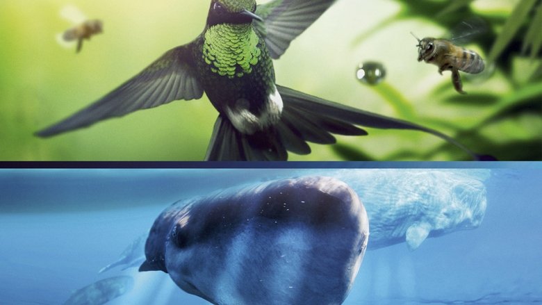 кадр из фильма Земля: Один потрясающий день