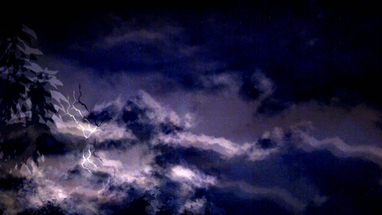 кадр из фильма Temporally