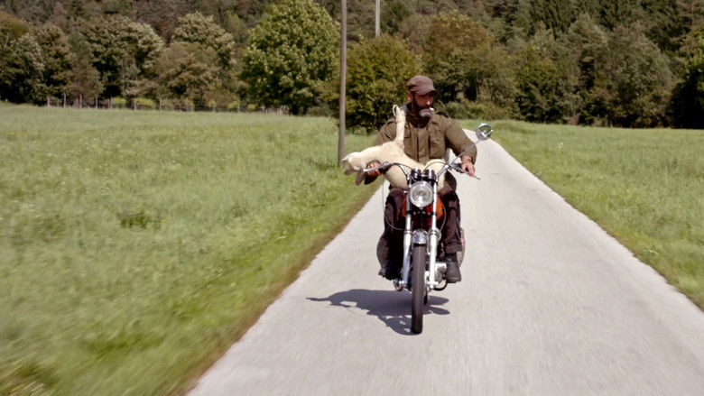 кадр из фильма Il profumo del mirto